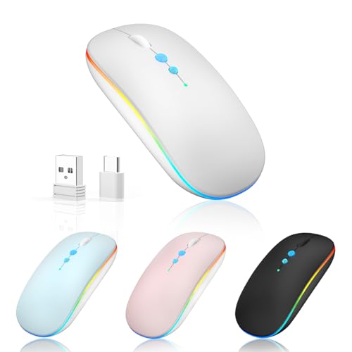 Halpilt LED Wireless Mouse A100S Rechargeable Portable Silent Mouse with Optional USB and Type-C Receiver 3-Speed Adjustable DPI for PC/Mac/Laptop (Frosted Silver) - Image 1