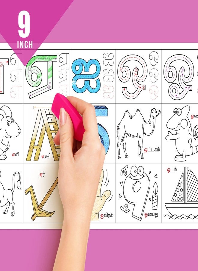 Inkmeo | Tamil Alphabet Reusable Wall Colouring Roll | AR Enabled | Interactive Educational Learning Chart | For Kids | Ages 2+ | Best Gift | Size (9 X 60 Inches) | Letter Recognition - Image 4