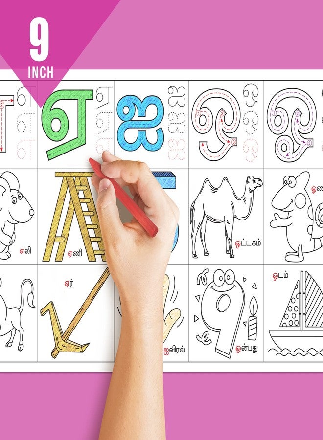 Inkmeo | Tamil Alphabet Reusable Wall Colouring Roll | AR Enabled | Interactive Educational Learning Chart | For Kids | Ages 2+ | Best Gift | Size (9 X 60 Inches) | Letter Recognition - Image 3