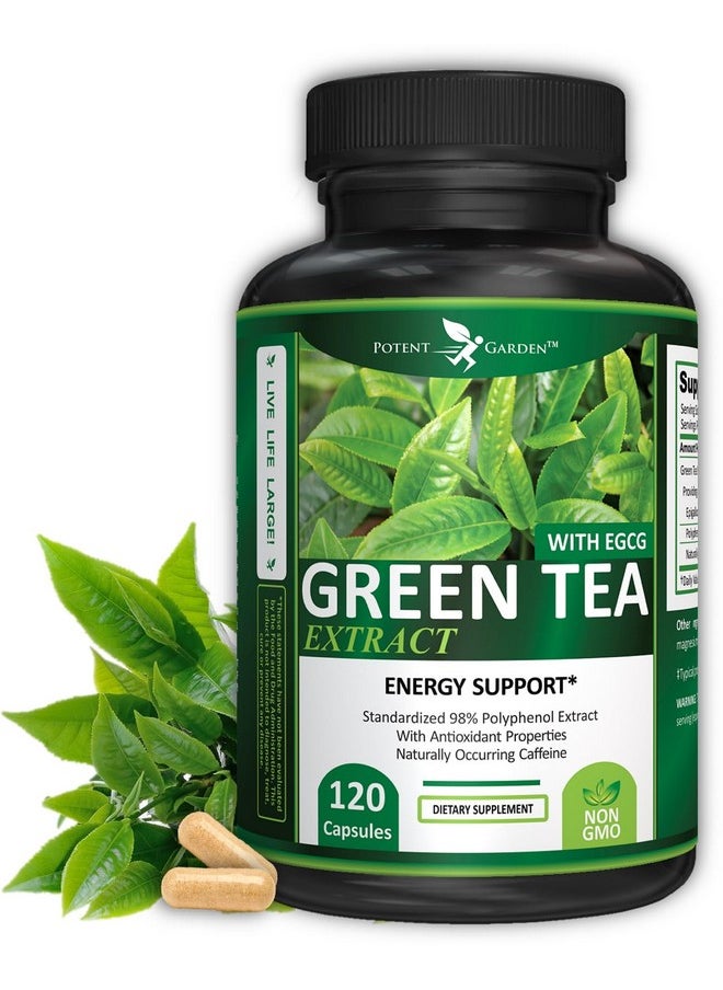 Potent Garden Potent Garden Green Tea Extract with EGCG Natural Energy, Mental Focus, Immune Support, Antioxidant and Healthy Heart Formula, Non-GMO 120 Green Tea Extract Capsules  - Image 1
