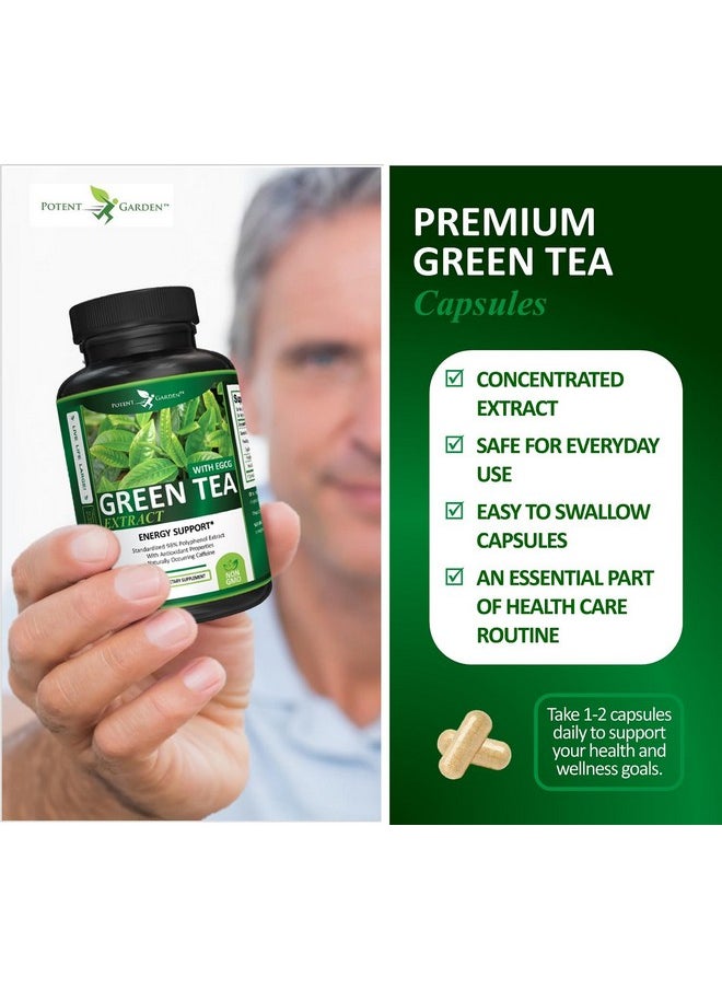 Potent Garden Potent Garden Green Tea Extract with EGCG Natural Energy, Mental Focus, Immune Support, Antioxidant and Healthy Heart Formula, Non-GMO 120 Green Tea Extract Capsules  - Image 4