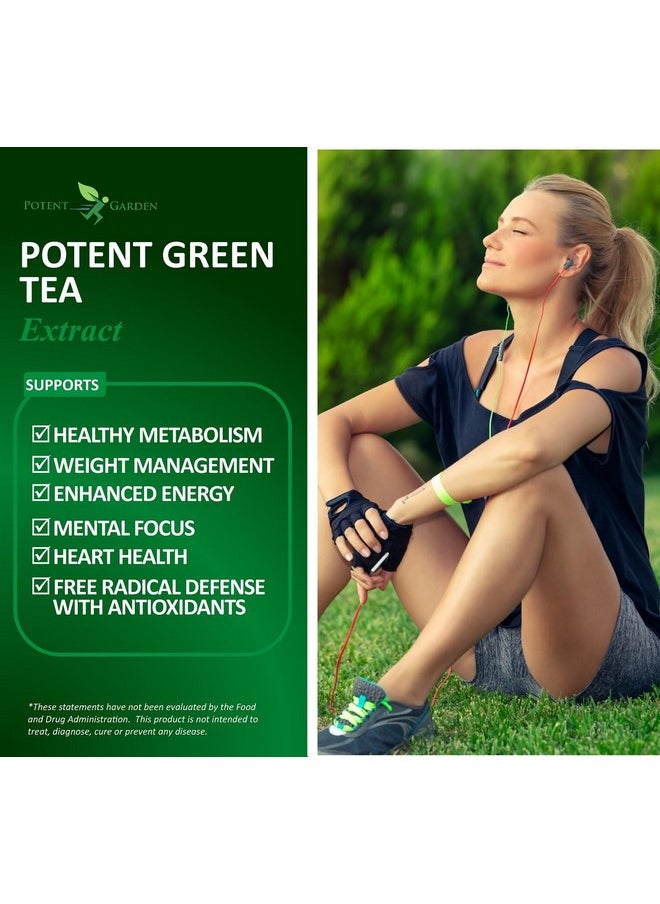 Potent Garden Potent Garden Green Tea Extract with EGCG Natural Energy, Mental Focus, Immune Support, Antioxidant and Healthy Heart Formula, Non-GMO 120 Green Tea Extract Capsules  - Image 3