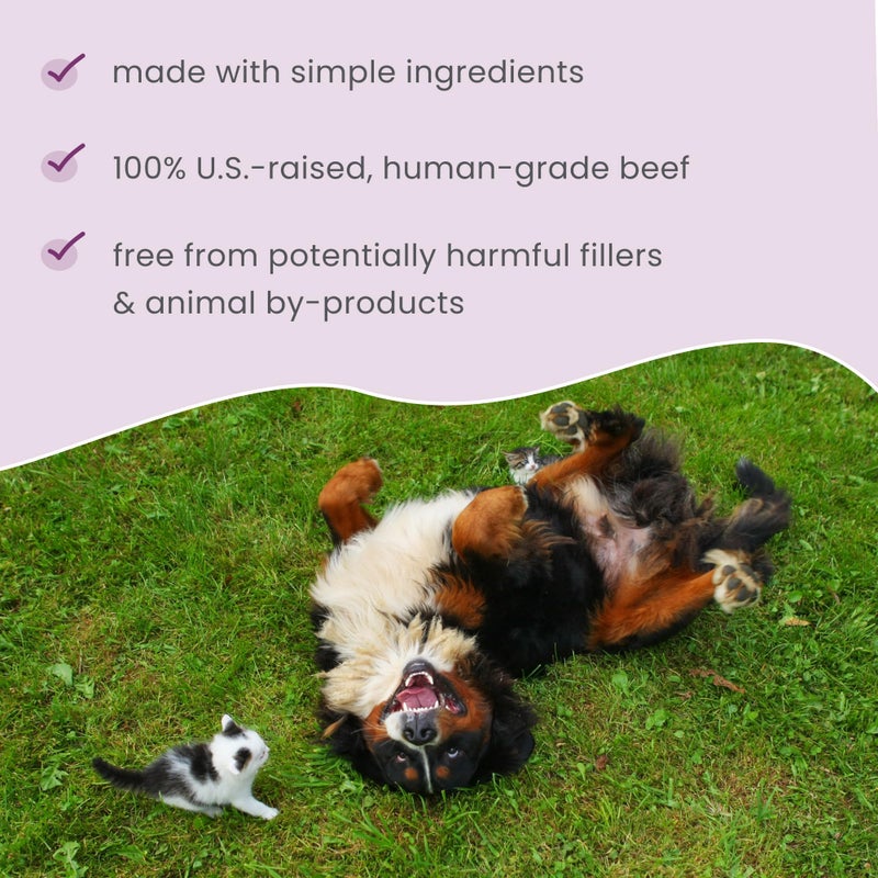 Dr. Mercola Bark & Whiskers Beef Liver & Berry Chips for Dogs & Cats, 5 Oz. (141.74 g), Made with 100% USA Beef Liver, Digestive Support, Veterinarian Formulated, Non-GMO - Image 4