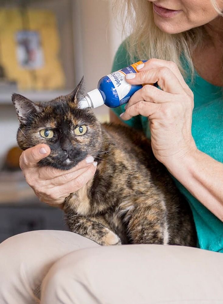 Vetericyn Plus Antimicrobial Ear Rinse For Cats Dogs Rabbits And Horses 89ml - Image 3