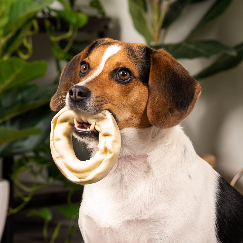 Pet Factory American Beefhide 3-4" Donuts Dog Chew Treats - Natural Flavor, 8 Count/1 Pack - Image 5