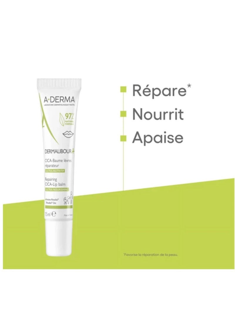 A-DERMA A Derma Dermalibour + Cica Lip Balm 15ml - Image 3