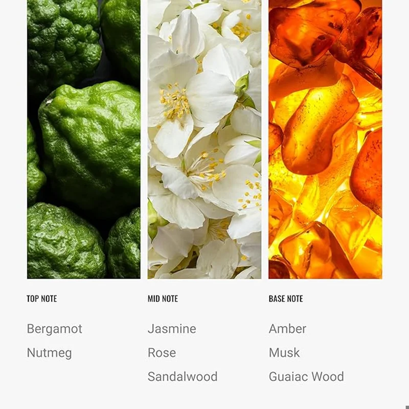 Hotel Collection  Bonbori Fragrance Oil Blend - Hotel Inspired for Luxury Essential Oil Diffusers - Aromatherapy Scent Diffuser Oil - Bergamot, Jasmine, and Rose - 50 mL, 1.7 fl oz  | Best Price UAE