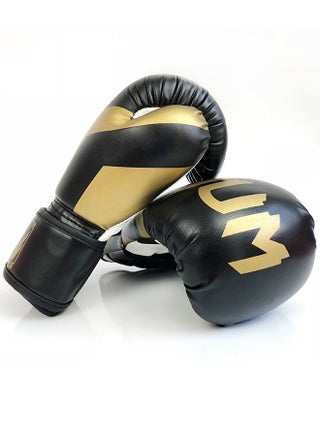 Boxing Gloves MMA Punch Bag Training Mitts for Muay Thai, Sparring, Kickboxing, Fighting, Martial Arts, Workout Gloves 12oz - pzsku/ZA8347CDC6A0B51A3A2BAZ/45/1742453943/98a4eec2-20b3-4258-bf52-e4479d29be42