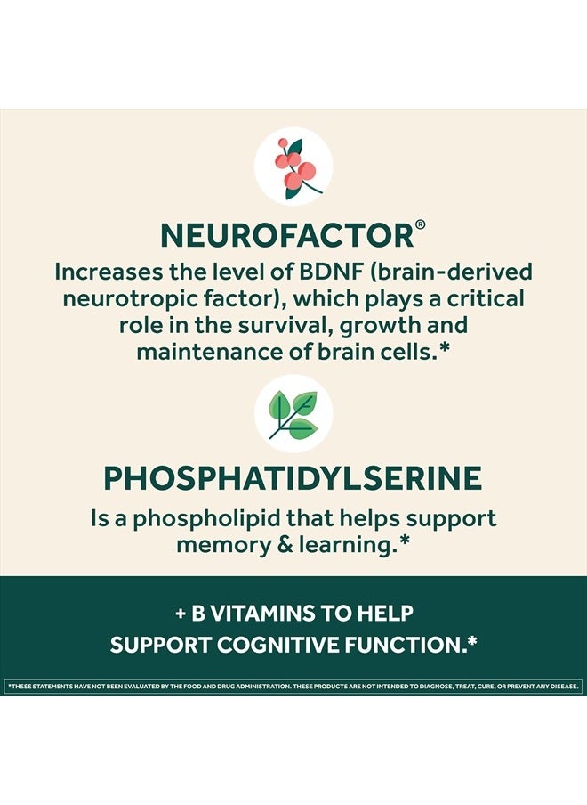 Plus Brain Supplement for Memory and Focus Clinically Tested Nootropics for Concentration for Mental Clarity, Cognitive Enhancement Vitamins B6, B12, Phosphatidylserine 30 Capsules