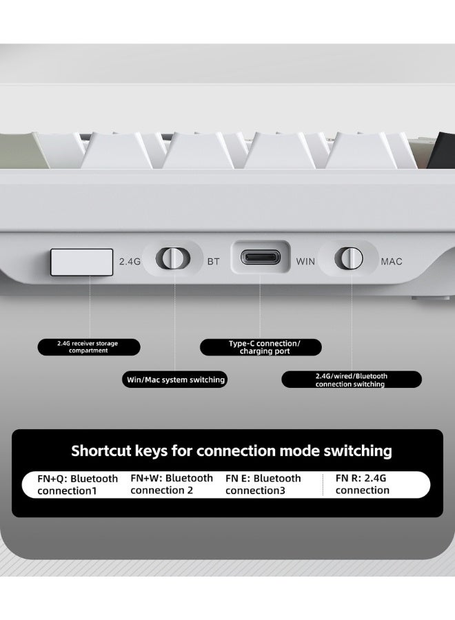 DEADSKULL MK088 Wireless Mechanical Keyboard,75% Gasket Hot Swappable Custom Keyboard,RGB Backlit,Pre-lubed Reaper Switches,Side Printed PBT Keycaps,2.4GHz/USB-C Mechanical Gaming Keyboard White - Image 4