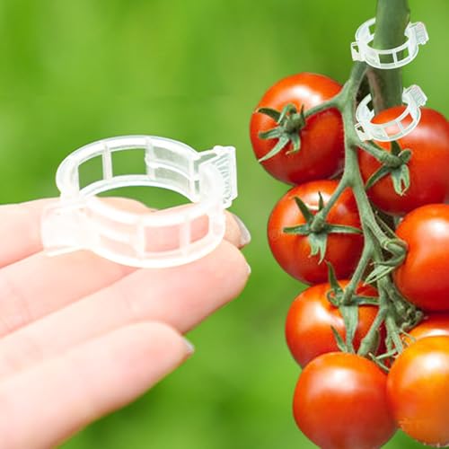 7Queen Plant Support Clips -100PK, White Tomato Clips for String Trellis, Grape Vine Clips for Garden Netting Climbing Plants, Secured Plastic Plant Clips - Image 1