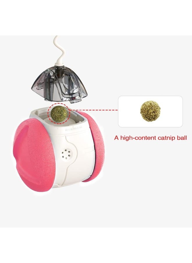 ECVV - Interactive Cat Chasing Toys Kitten Excercise Toy With Catnip Squeaky Ball (Assorted) - Image 1