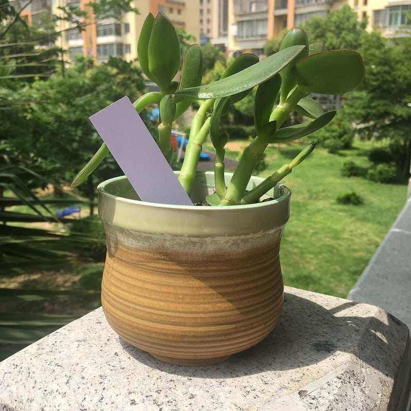 Mihey 300 Pcs 4 Inch Plastic Nursery Garden Stake Tags Plant Seed Garden Labels Pot Markers White - Image 3