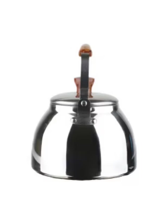 Bister Stainless Steel Leak-Proof Wide Mouth Tea Kettle with Wooden Handle Silver and Brown 2 Liter - Image 2