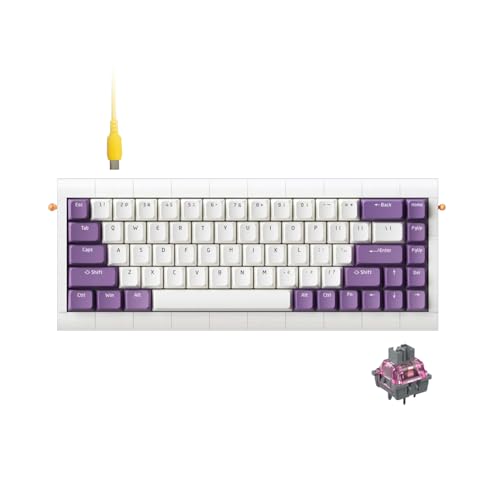 KBDcraft 02Lilith 65 55 Ergonomic Mechanical Keyboard LegoCompatible Case Gasket Mount Wired HotSwappable Keyboard RGB Linear Switch QMKVial for WinMac White Lilith Q 65 - Image 1