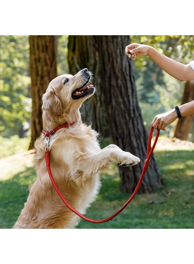 CollarDirect Rolled Leather Dog Leash 6ft, Soft Training Leather Dog Leash for Puppy and Grown Dog Small Medium Large Black Blue Red Orange Green Pink White (Red, Size S 6ft) - Image 4