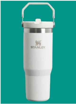 IceFlow Flip Straw Water Bottle with Straw 0.88L – Keeps Drinks Cold for 12+ Hours – Leakproof Stainless Steel, BPA-Free Travel Mug – Easy to Carry, Dishwasher Safe – Frost Color - pzsku/ZA83C5401B7C2A5A18F2AZ/45/_/1738749277/aba020a3-272a-41c1-aaeb-cd64ea933b20