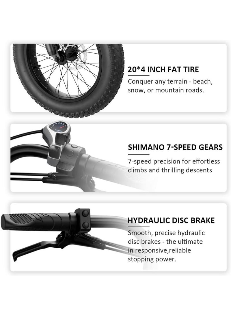 Wind Horse Electric Bike 1000W Motor Power, 48V 21AH Battery, 60 KM/H Max Speed, 20 Inches Fat Tires with Hydraulic Brakes and 80 KM Range in One Charge Off Road E-Bike  - Image 5