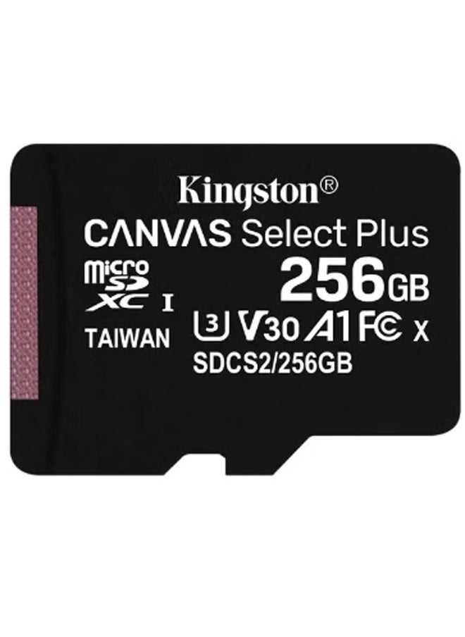 Kingston Canvas Select Plus MicroSD UHS-1 Memory Card 256 GB  - Image 1