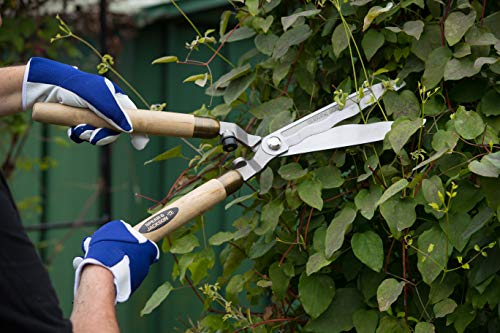 Spear  Jackson Spear & Jackson 7945HS Traditional Hand Shears - Image 5
