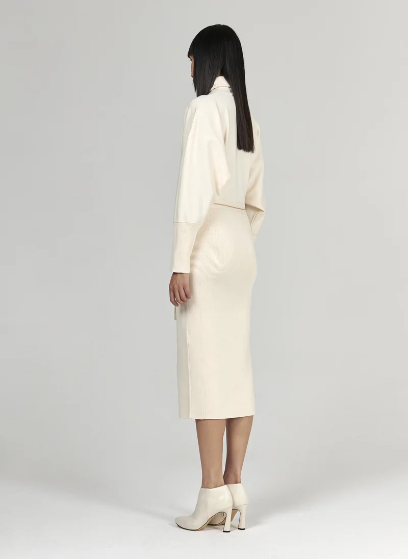 ليم فستان بياقة عالية مع حزام أنيق