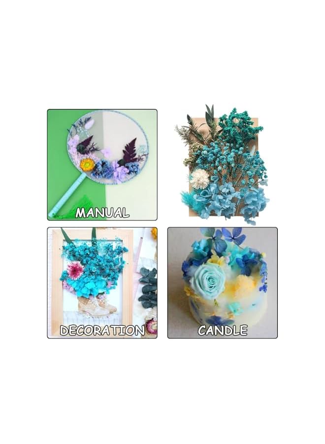 erorex Dried Flowers Leaves, Pressed Dried Flowers, Mixed Multiple Natural Decorative Artificial Flowers Dried Flowers for Crafts Resin Cakes Diy Jewellery Nail Art Scrapbooks (Blue)  - Image 3