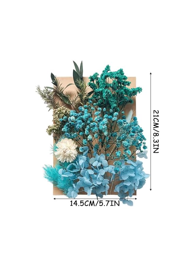 erorex Dried Flowers Leaves, Pressed Dried Flowers, Mixed Multiple Natural Decorative Artificial Flowers Dried Flowers for Crafts Resin Cakes Diy Jewellery Nail Art Scrapbooks (Blue)  - Image 5