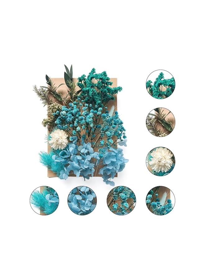 erorex Dried Flowers Leaves, Pressed Dried Flowers, Mixed Multiple Natural Decorative Artificial Flowers Dried Flowers for Crafts Resin Cakes Diy Jewellery Nail Art Scrapbooks (Blue)  - Image 2