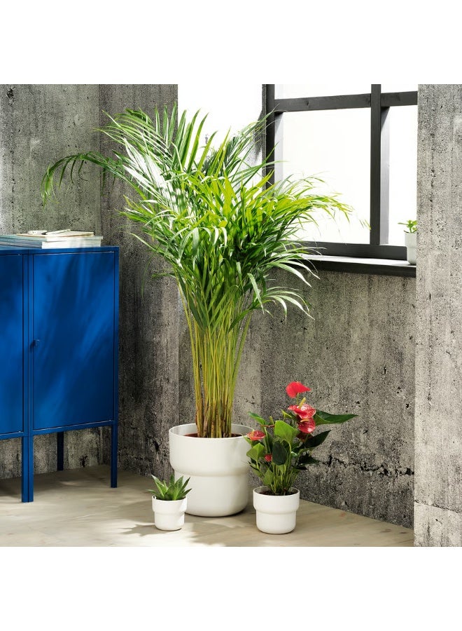 White Plant Pot – Indoor & Outdoor Decorative Flower Pot, Durable and Stylish, 9 cm Diameter - Image 3