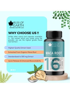 BLISS OF EARTH Korean Red Panax Ginseng  Maca Root Extract Capsules For Men   Women 500mg High Potency Root Extract For Energy Stamina  Performance  - Image 5