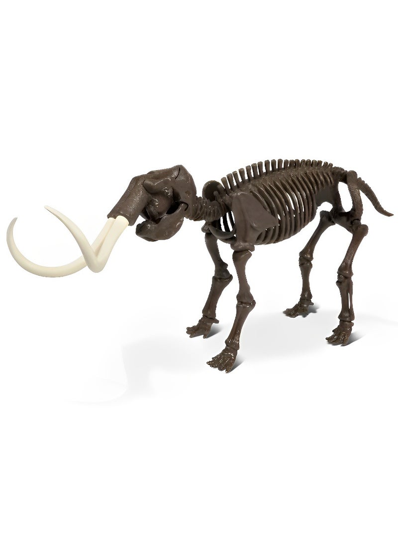 Dr. Steve Hunters - Skeleton Set 3D Fossil (Mammuthus Skeleton Model) High-Quality Educational Realistic and Science Kits Excavation Toys for Kids Museum Quality Replica Fun and Amazing Gift - Image 1