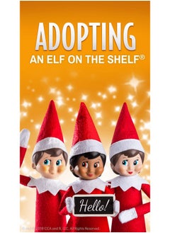 The Elf on the Shelf The Elf on the Shelf: A Christmas Tradition with Blue Eyed North Pole Girl Pixie-elf with Bonus an Elf Story DVD  - Image 5
