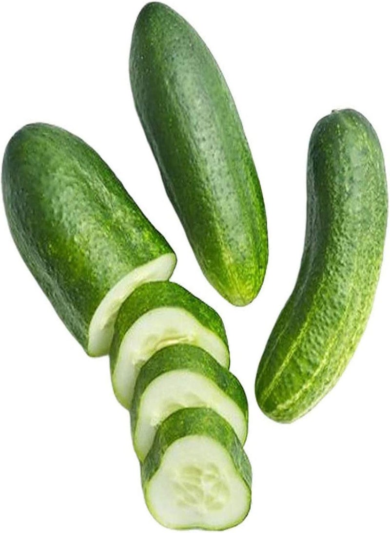 GGOOT Flower Seeds for Planting 40Pcs/Bag Cucumber Seeds Juicy Rich Vitamins Green High Germination Fruit Seeds for Garden Cucumber Seeds Juicy for Garden - Image 5