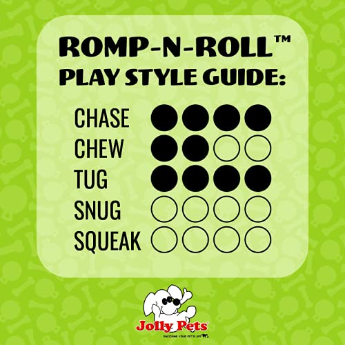 Jolly Pets Romp-n-Roll Rope and Ball Dog Toy, 8 Inches/Large, Blueberry, All Breed Sizes - Image 4