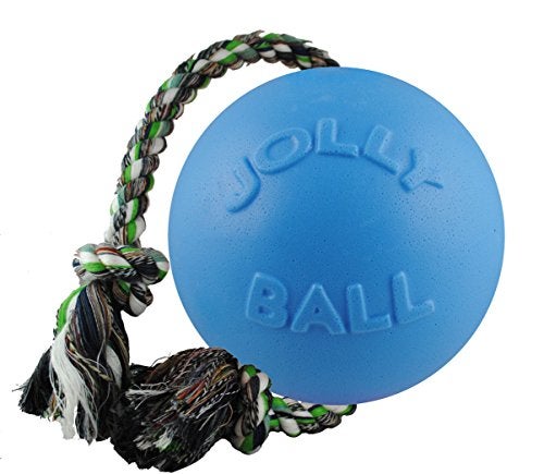 Jolly Pets Romp-n-Roll Rope and Ball Dog Toy, 8 Inches/Large, Blueberry, All Breed Sizes - Image 1
