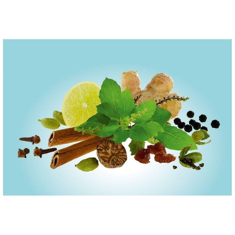 Girnar أكياس شاي أخضر جيرنار ديتوكس ديسي كاهوا - مجموعة من 36 - (عبوة من 4) ، 1.763698097 رطل - Image 2