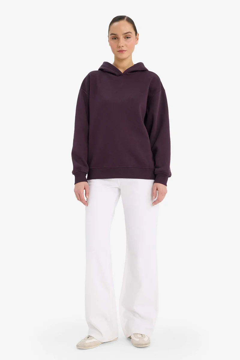 ديفاكتو Relax Fit Hooded Basic Thick Fabric Sweatshirt