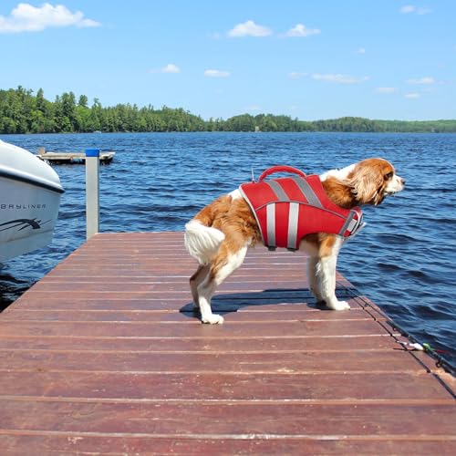 Kuoser Dog Life Jacket with Reflective Stripes - Adjustable High Visibility Vest, Ripstop Lifesaver, Pet Preserver with High Flotation Swimsuit for Small, Medium and Large Dogs - Image 5
