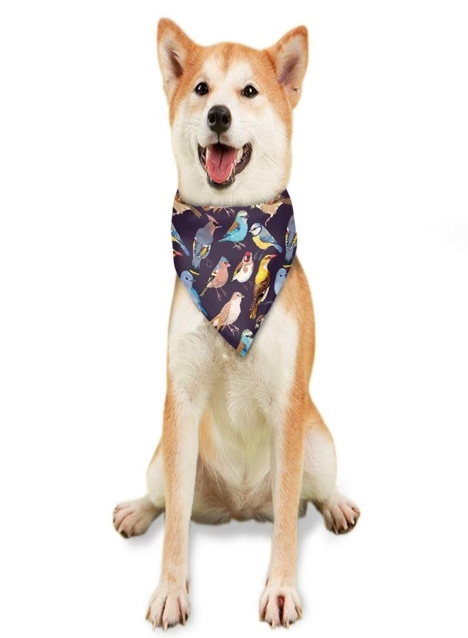 Howilath Colorful Birds Pet Kerchief Dog Scarf Accessories Washable Bandana, Scarf for Small to Large Dog, Puppy, Cat - Image 2