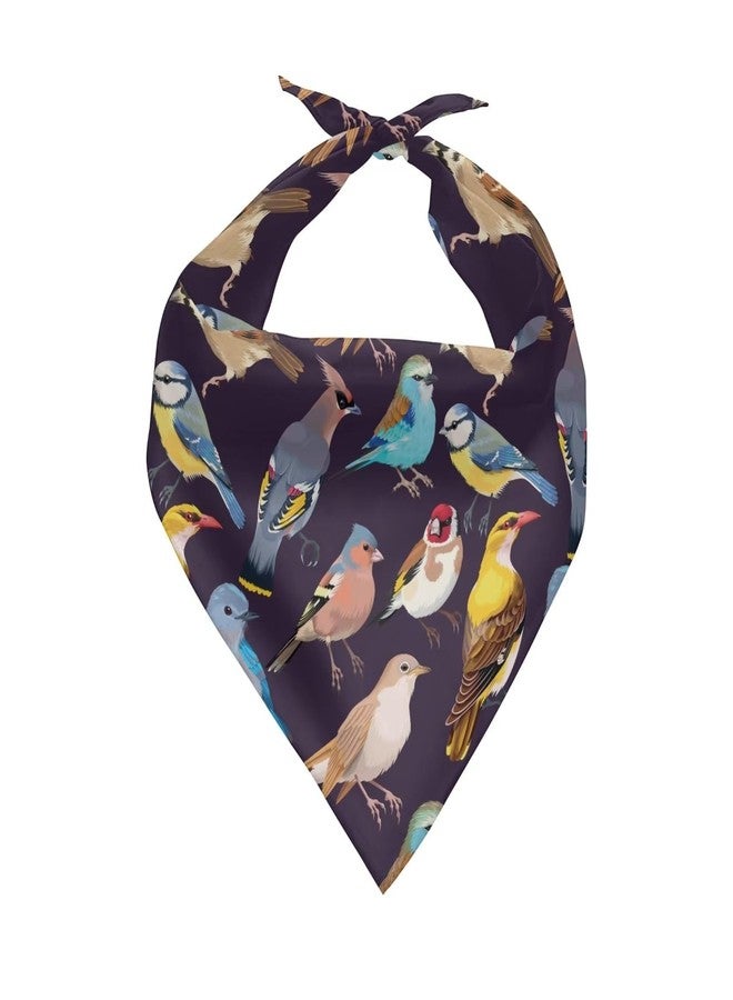Howilath Colorful Birds Pet Kerchief Dog Scarf Accessories Washable Bandana, Scarf for Small to Large Dog, Puppy, Cat - Image 1