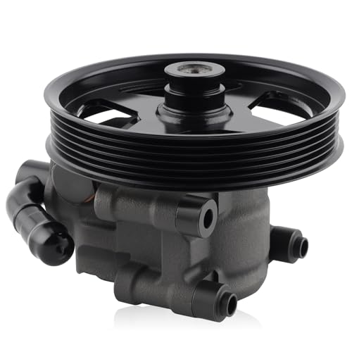 Farrme 20-312P1 Power Steering Pump with Pulley Fit for Ford F150 04-08, Expedition 03-06, for Lincoln Mark LT 06-08, Navigator 03-06 4.6L 5.4L V8 Automotive Replacement Power Assist Pump 6L3Z3A674B - Image 1