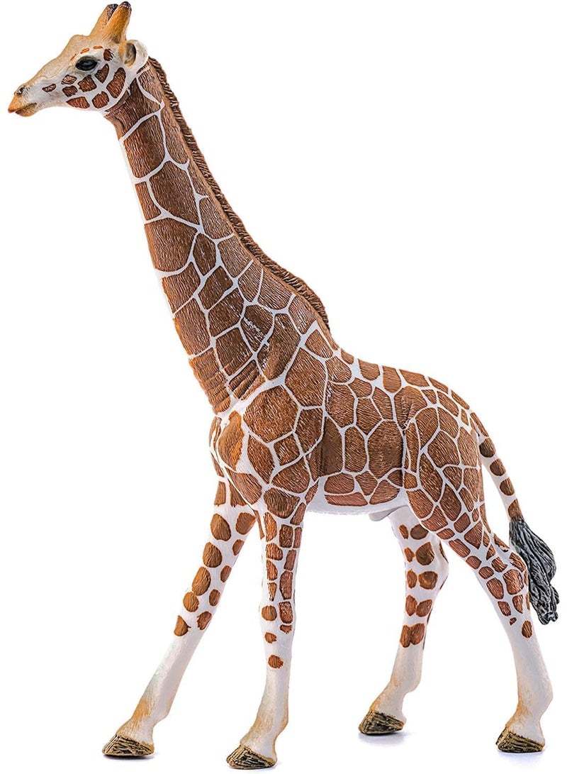 Schleich تمثال لعبة زرافة ذكر من شلايش - Image 1
