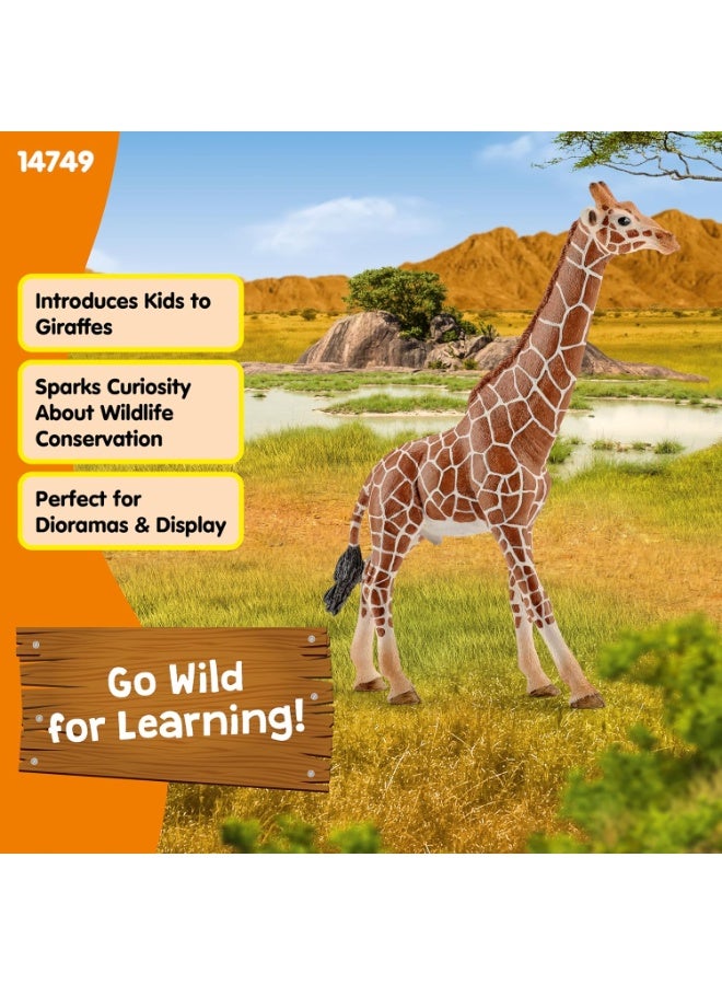 Schleich تمثال لعبة زرافة ذكر من شلايش - Image 4