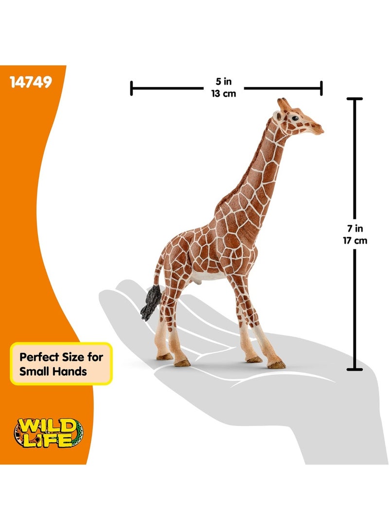 Schleich تمثال لعبة زرافة ذكر من شلايش - Image 3