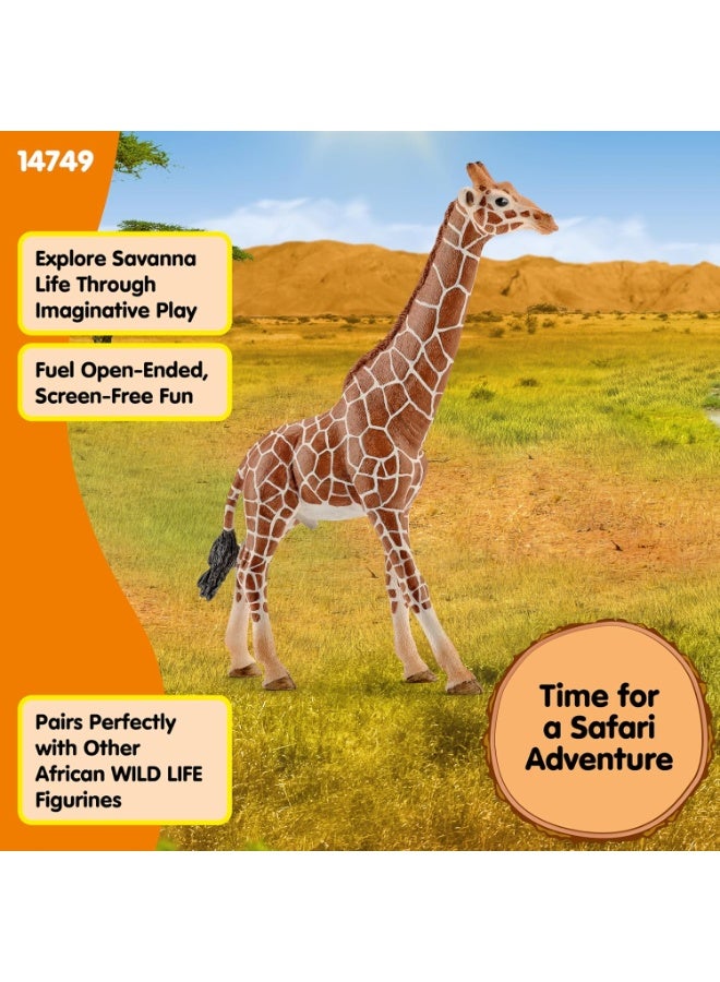 Schleich تمثال لعبة زرافة ذكر من شلايش - Image 5