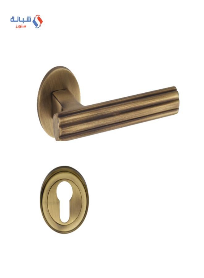 Doganlar Fest Turkish Rosette Cylinder Door Handle Set – Yellow Oxide - Image 1
