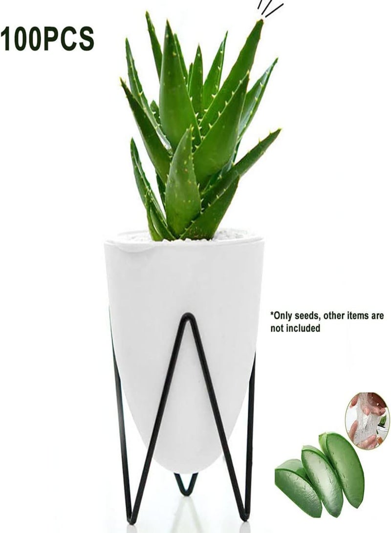 GGOOT 100Pcs Aloe Plant Seeds Home Outdoor Garden Yard Easy Growing Seedlings Kit Aloe Seeds 1 - Image 2