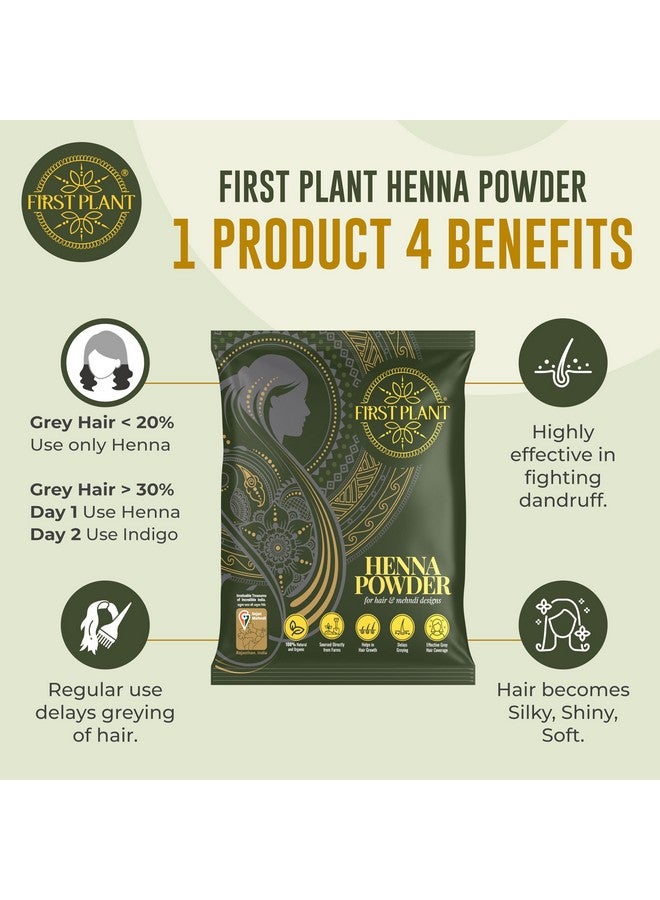 FIRST PLANT - Premium Rajasthani HENNA POWDER, 100% ORGANIC Henna with GI Tag for Hair Colour and Hair Care (Pack of 2 x 400g) - Image 4