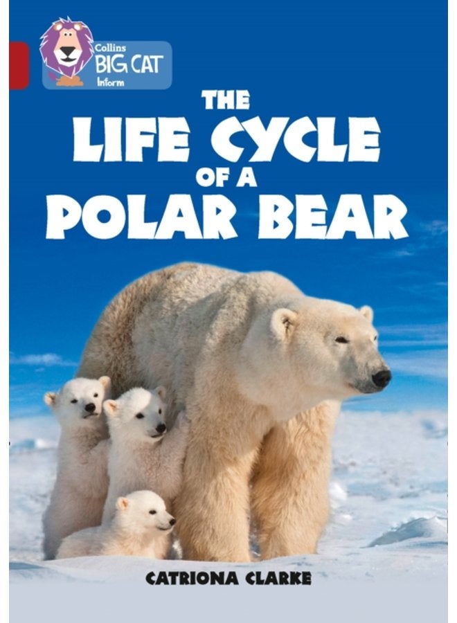The Life Cycle of a Polar Bear Band 14 Ruby - Paperback