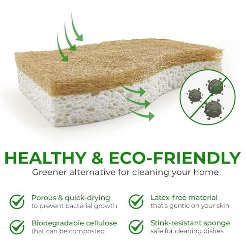 AIRNEX Natural Kitchen Sponges (24 Pack) - Biodegradable Cellulose & Coconut Scrubber Dish Sponges for Kitchen - Eco-Friendly, Non Scratch, Compostable, Non Toxic S-Shaped Natural Sponges for Dishes - Image 4